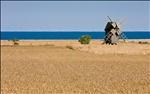 windmill by the sea on öland